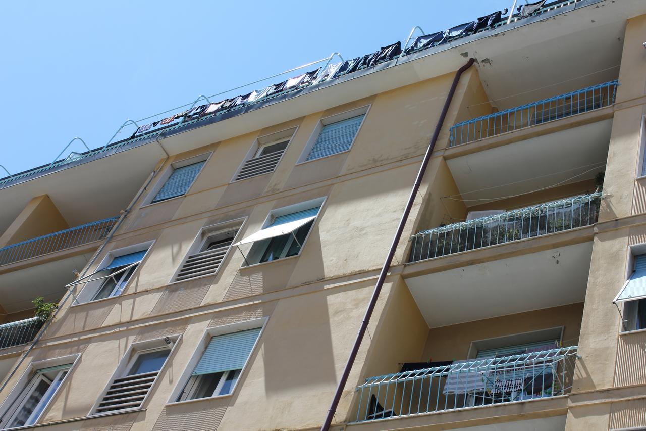 Apartment Sunflower